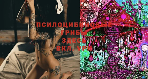 MDMA Premium VHQ Белокуриха
