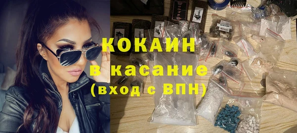 мдпв Богородск