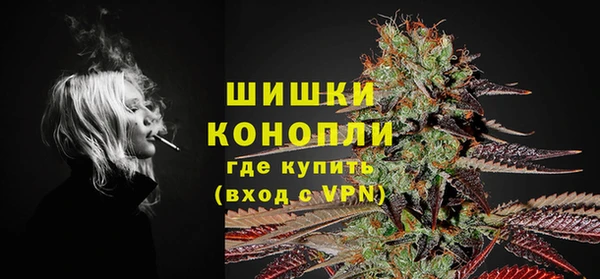 сатива Белоозёрский
