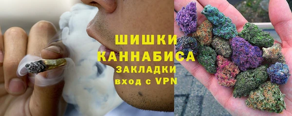 сатива Белоозёрский
