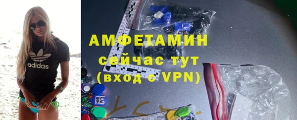 мдпв Богородск
