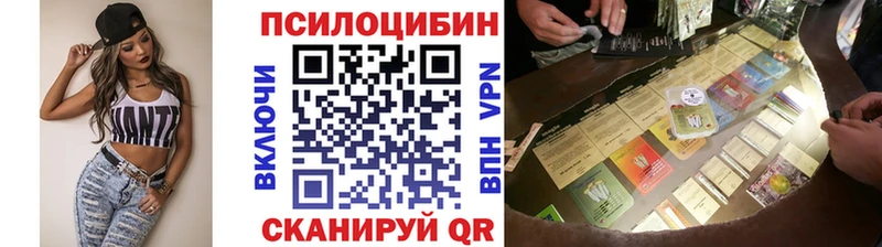 дарнет шоп  Облучье  Псилоцибиновые грибы Psilocybine cubensis 